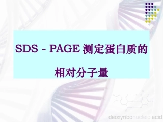 PAGE测定蛋白质的相对分子量