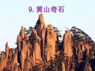 9.黄山奇石
