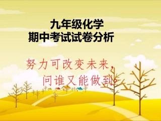 2014年阜阳十九中九年级化学期中考试试卷分析