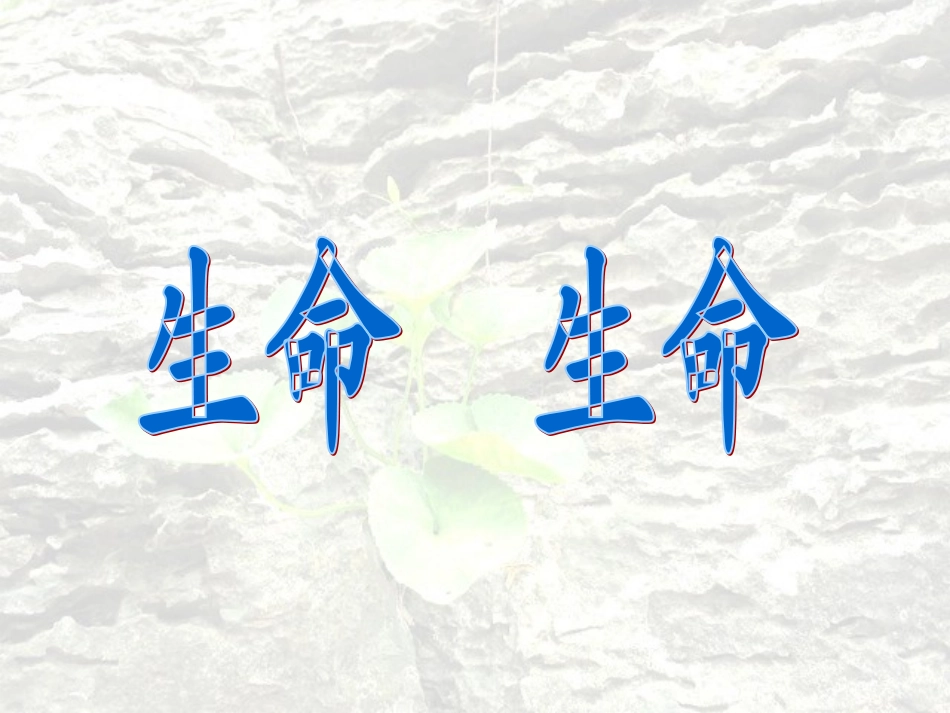 19生命生命_第1页