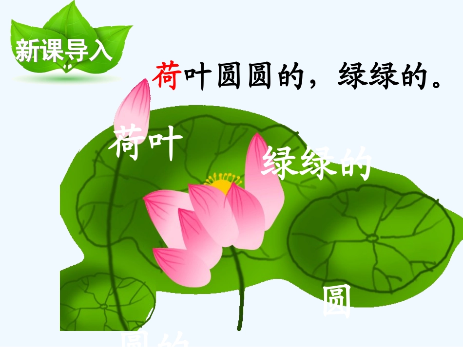 一年级下册14.荷叶圆圆_第2页