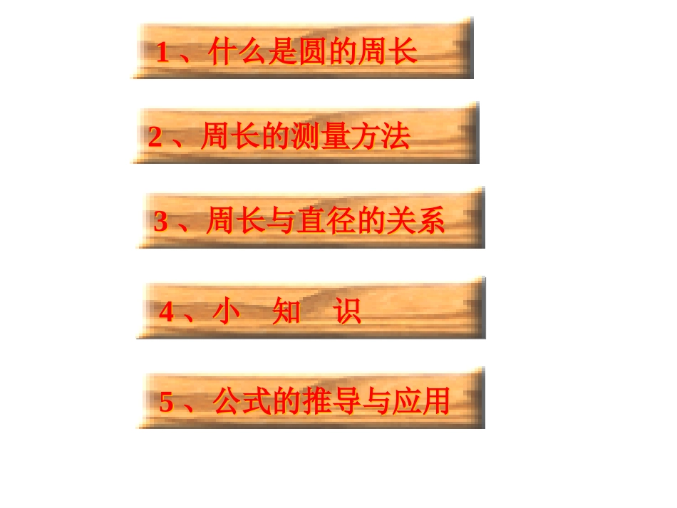 圆的周长-(2)_第2页