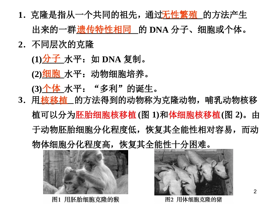 4.2关注生物技术的伦理问题_第2页