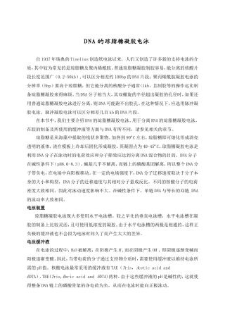 DNA的琼脂糖凝胶电泳