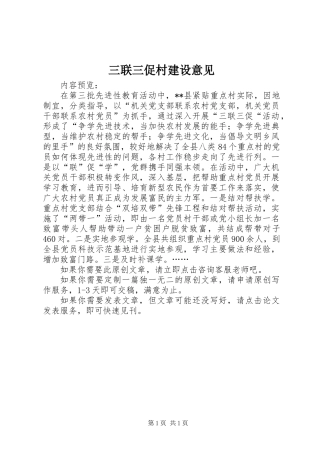 三联三促村建设意见