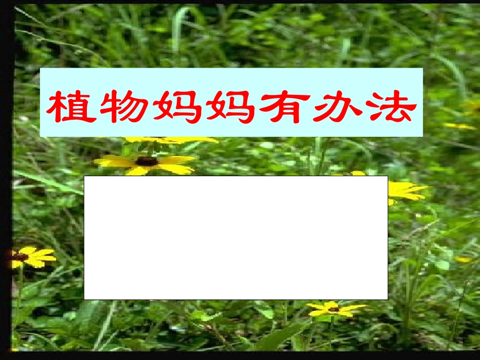 教育部参赛--《植物妈妈有办法》----李菲菲_第1页