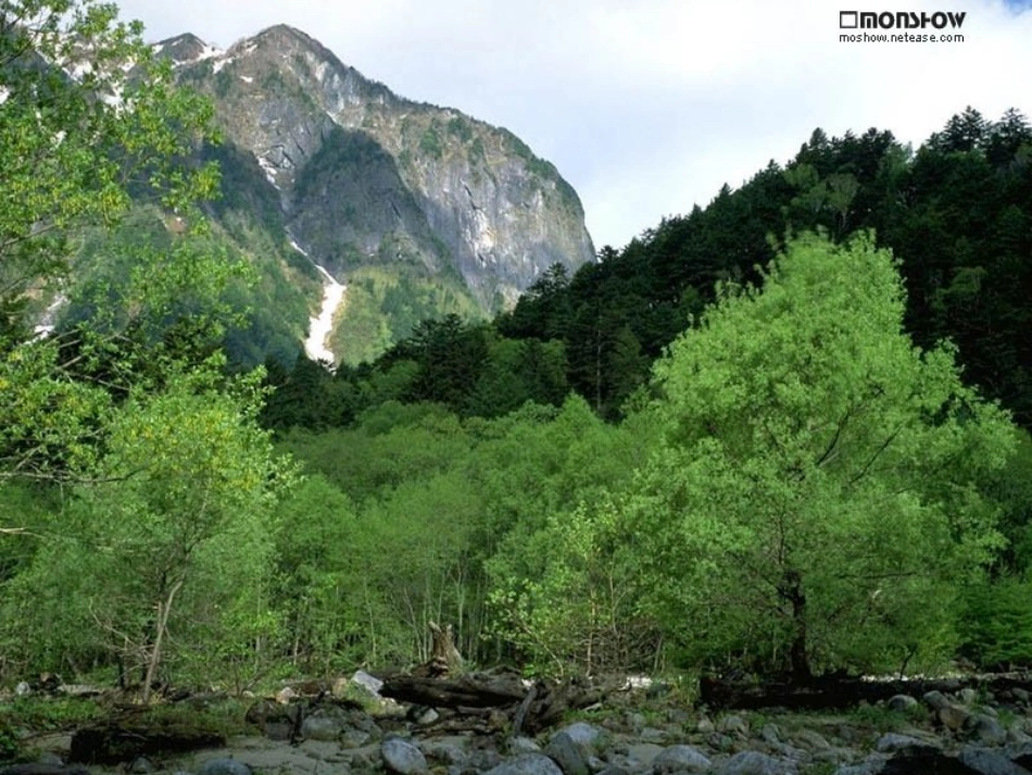 《山中访友》ppt课件9_第1页