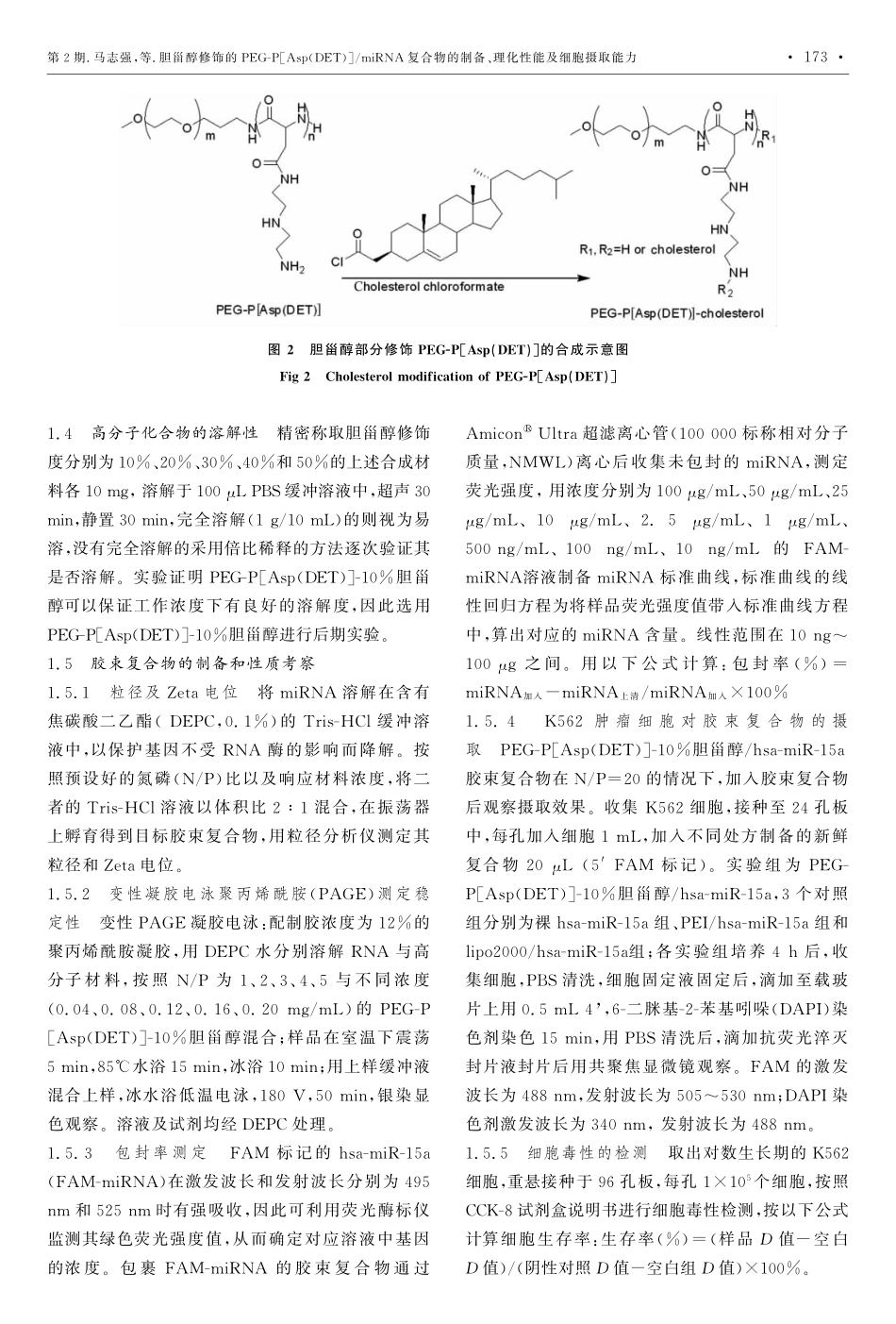 胆甾醇修饰的PEG-P[Asp(DET)]_miRNA复合物的制备、理化性能及细胞摄取能力_第3页
