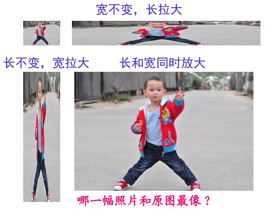 -图形的放大和缩小x_第2页