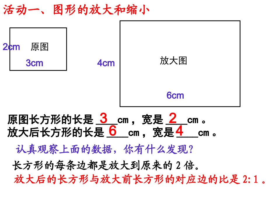 -图形的放大和缩小x_第3页
