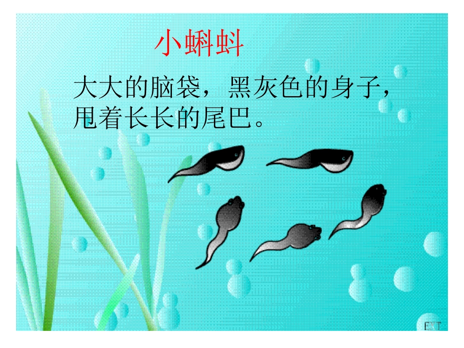 243小蝌蚪找妈妈_第3页