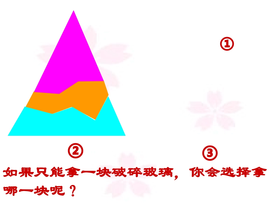 角边角.2三角形全等的判定(ASA-AAS)_第3页