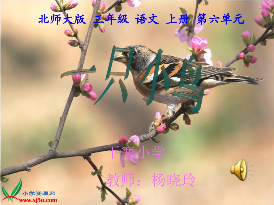 《一只小鸟》正式课件_第1页