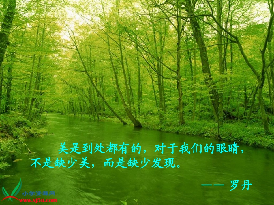 《一只小鸟》正式课件_第2页
