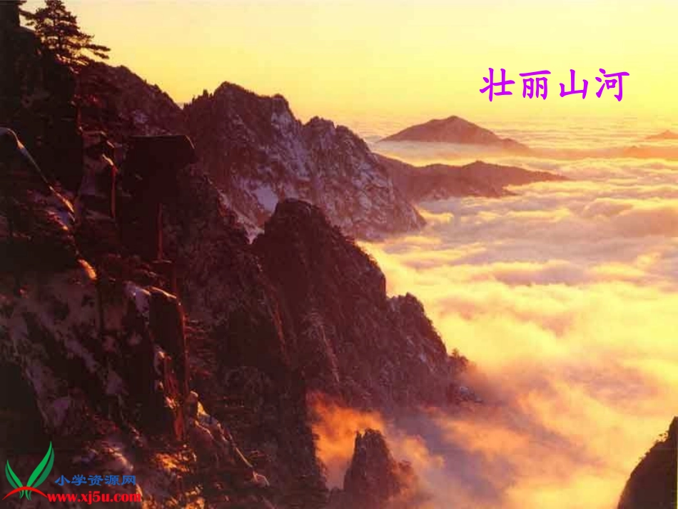 《一只小鸟》正式课件_第3页