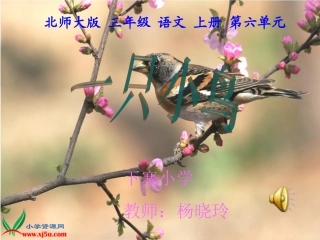 《一只小鸟》正式课件