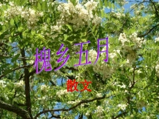 21-槐乡五月-公开课