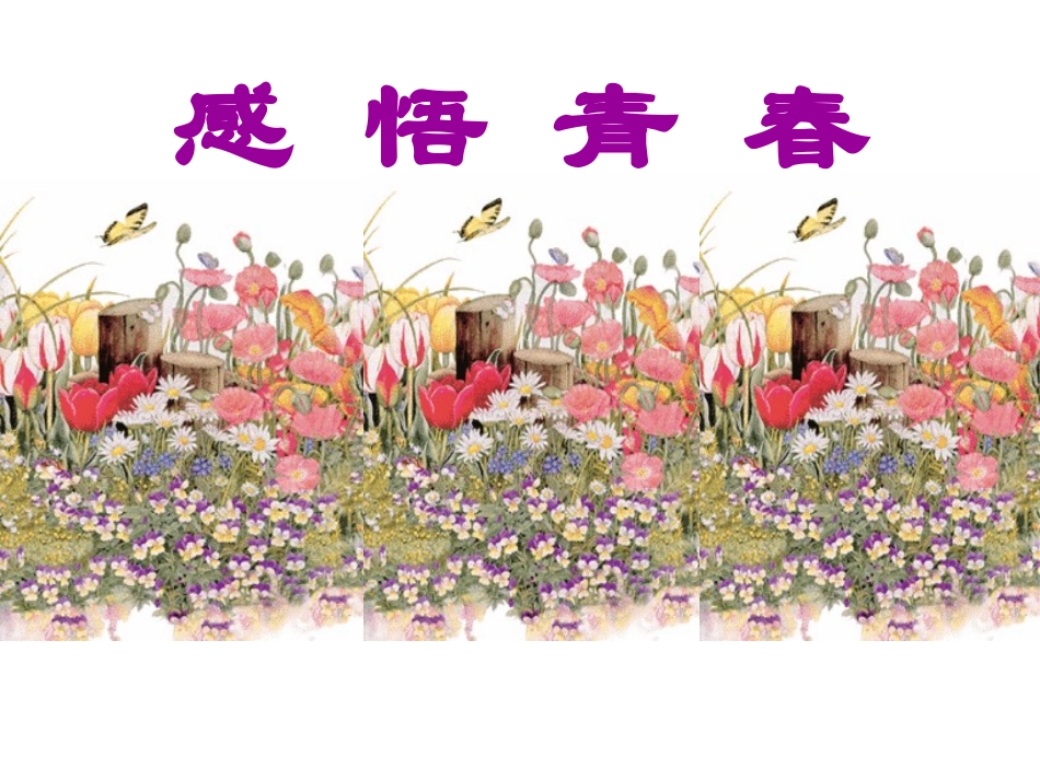 感悟青春-课件-1_第1页