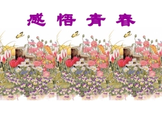 感悟青春-课件-1