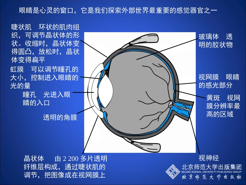 6-4-眼睛和眼镜_第2页