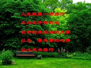 用坐标表示平移