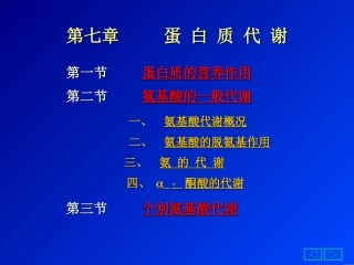 蛋白质的代谢