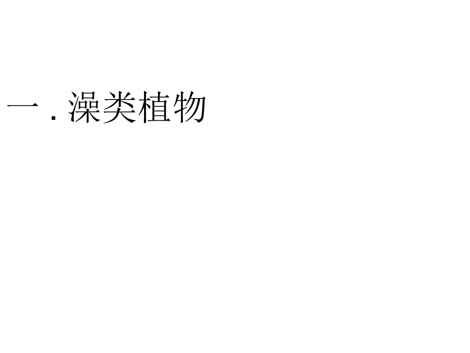 第一节五彩缤纷的植物世界_第3页