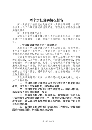 两个责任落实情况报告