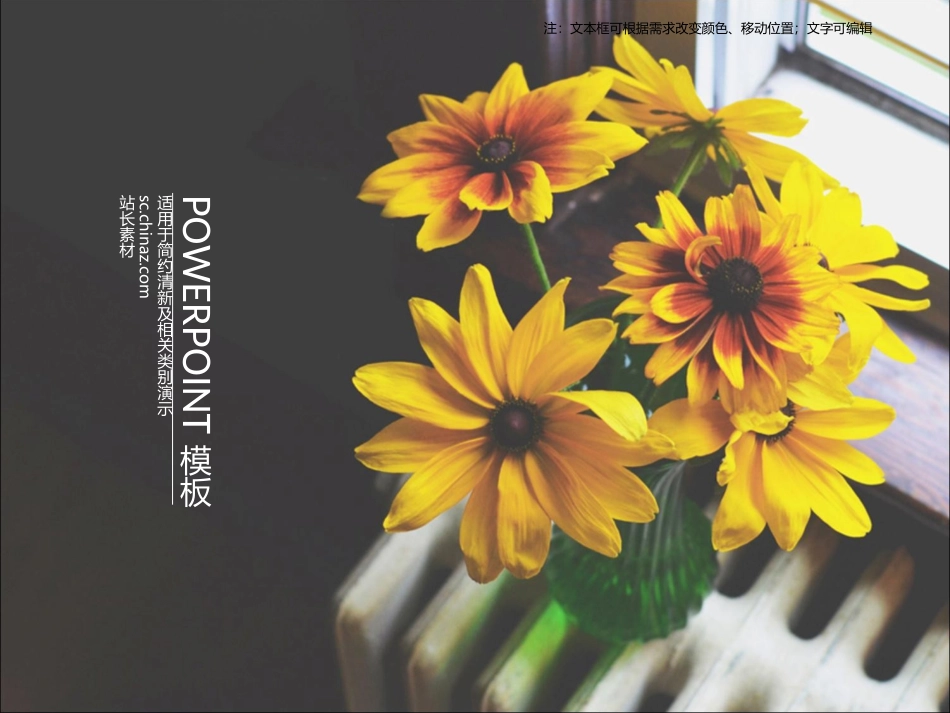 ppt向阳花_第1页