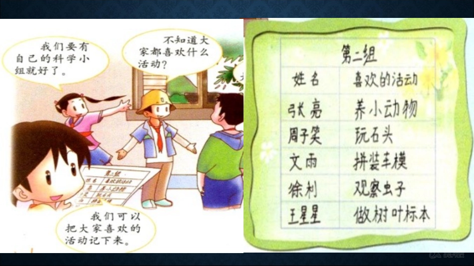 【素材】《我们的科学兴趣小组》课件(教科版)_第2页