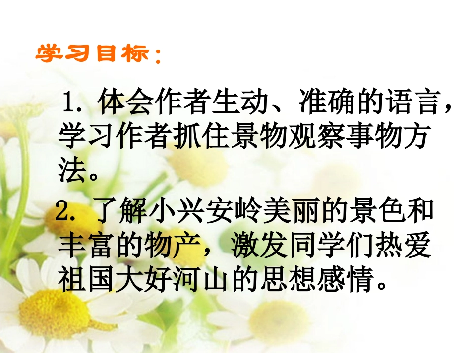 ①美丽的小兴安岭_第3页