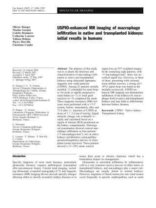超顺磁氧化铁增强造影剂通过巨噬细胞进入正常及移植肾脏