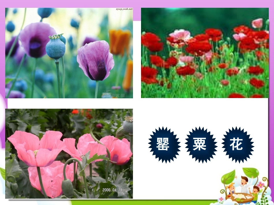 7、艰辛的求索_第2页