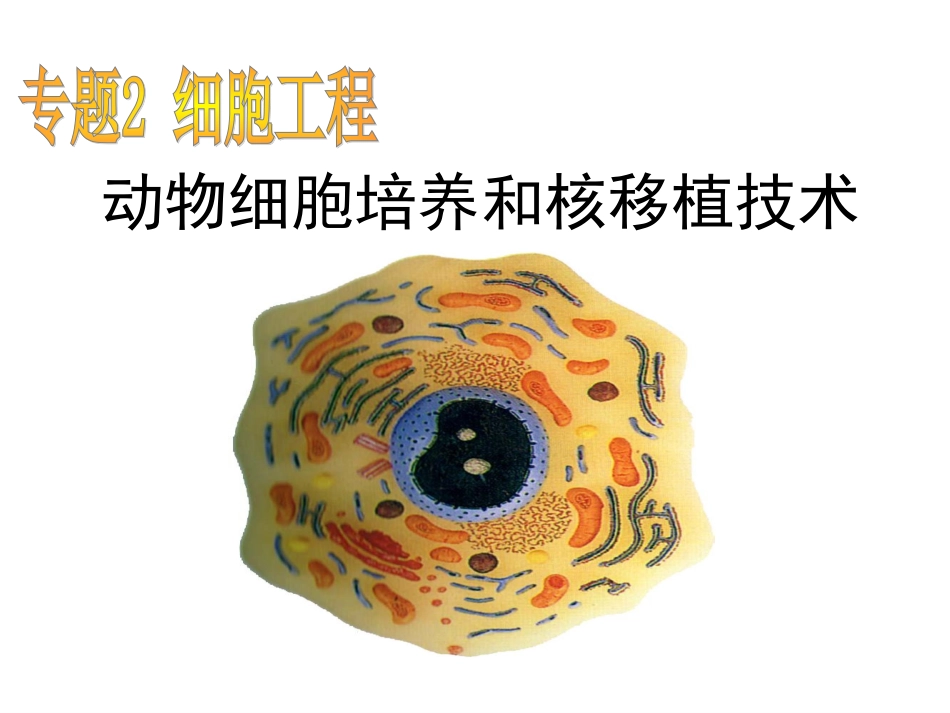 221动物细胞培养和核移植技术_第1页