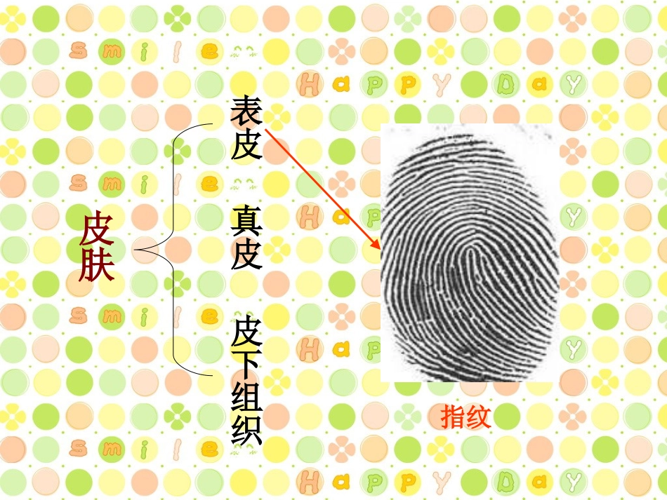 奇妙的指纹王国_第3页