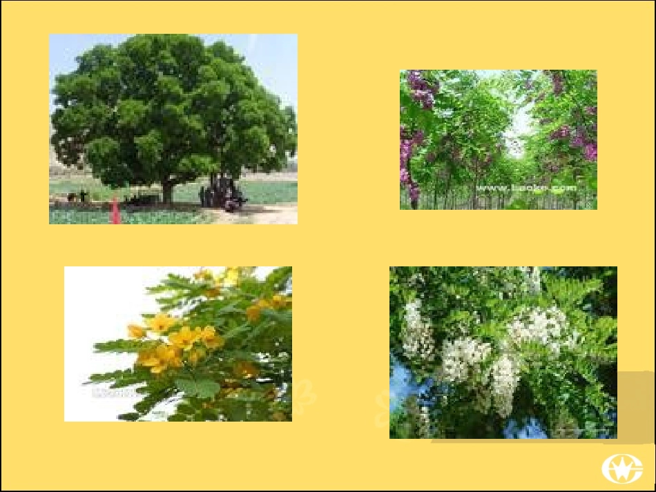 我们爱兰州2_第3页