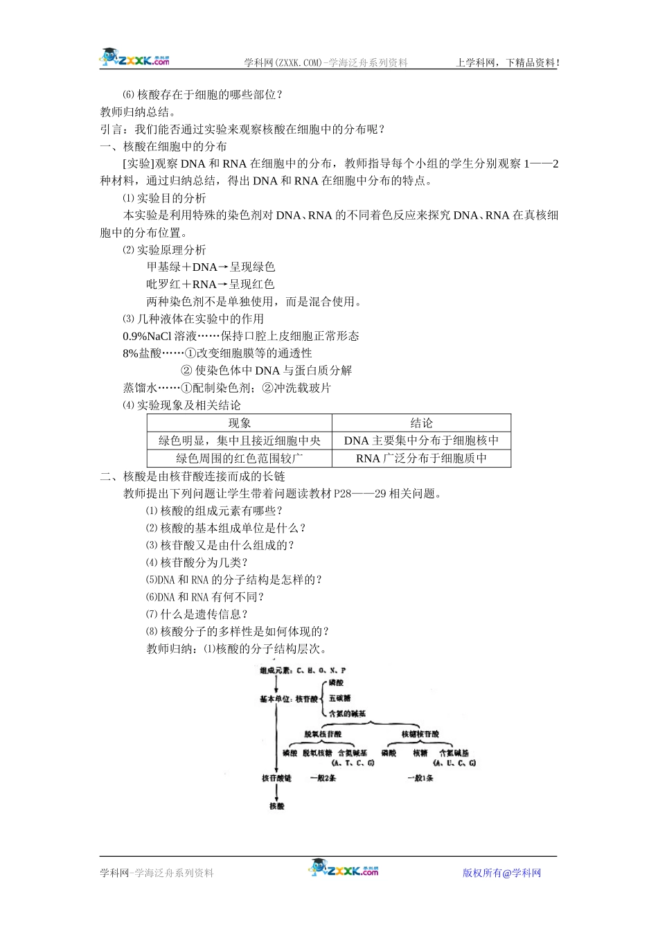 23遗传信息的携带者——核酸_第2页