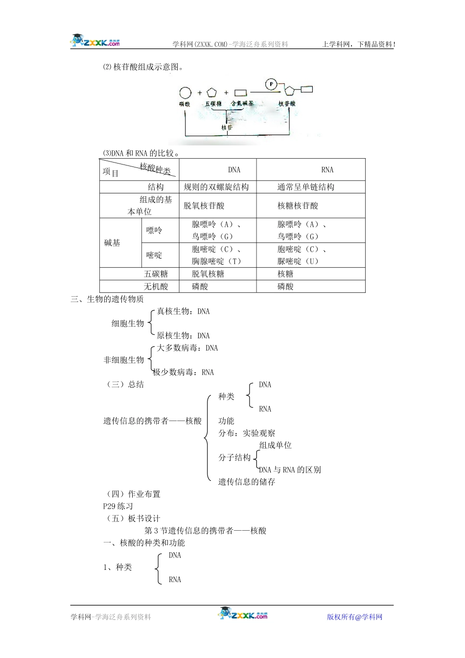 23遗传信息的携带者——核酸_第3页