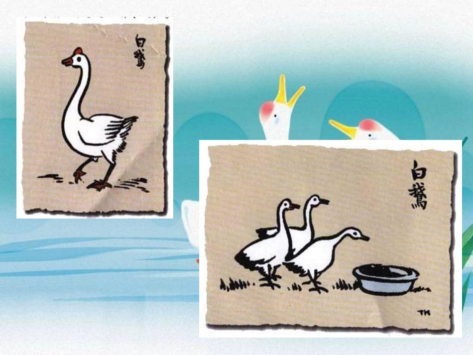 13[1].白鹅PPT课件_第3页