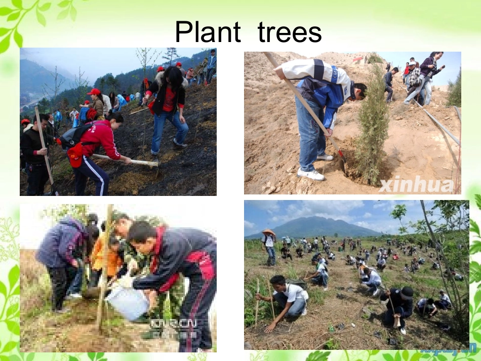 treeplantingday1_第3页