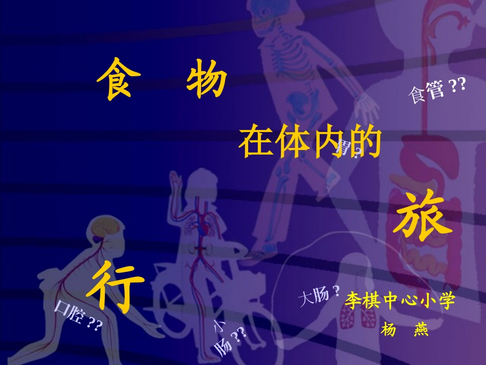《食物在体内的旅行》课件ppt(杨燕)_第1页