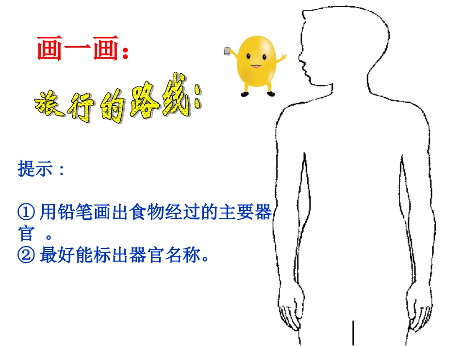 《食物在体内的旅行》课件ppt(杨燕)_第2页
