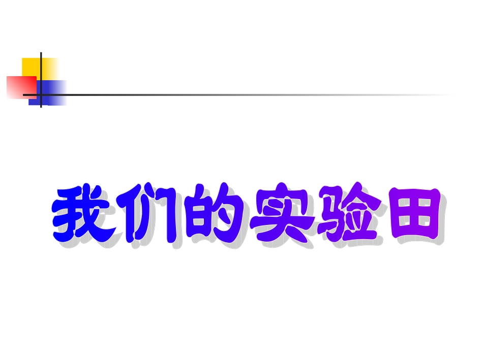 07我们的实验田_第1页