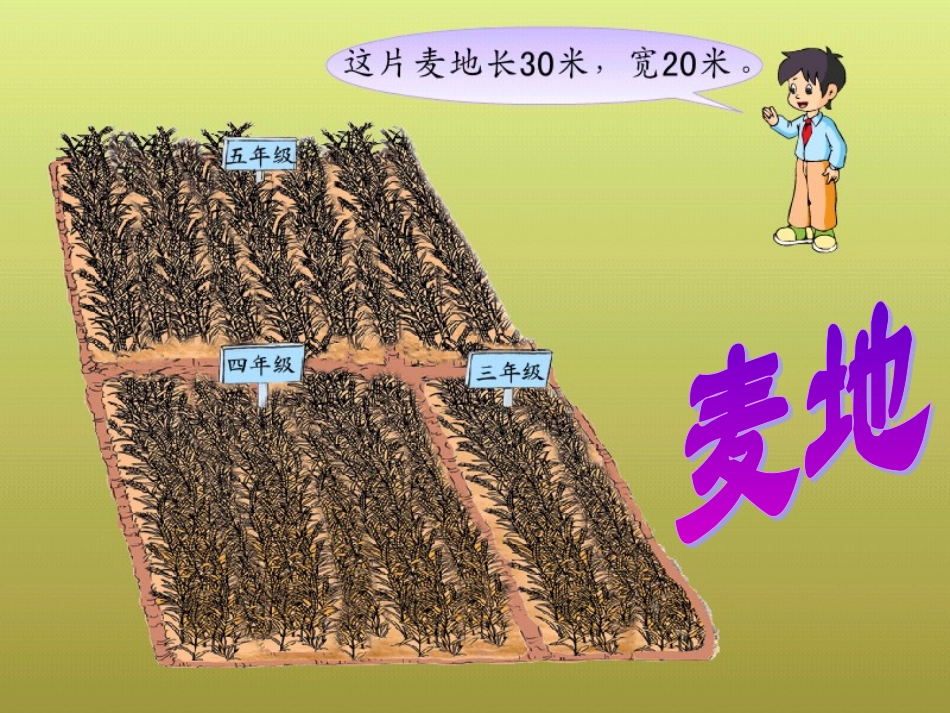 07我们的实验田_第3页