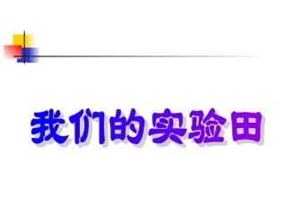07我们的实验田