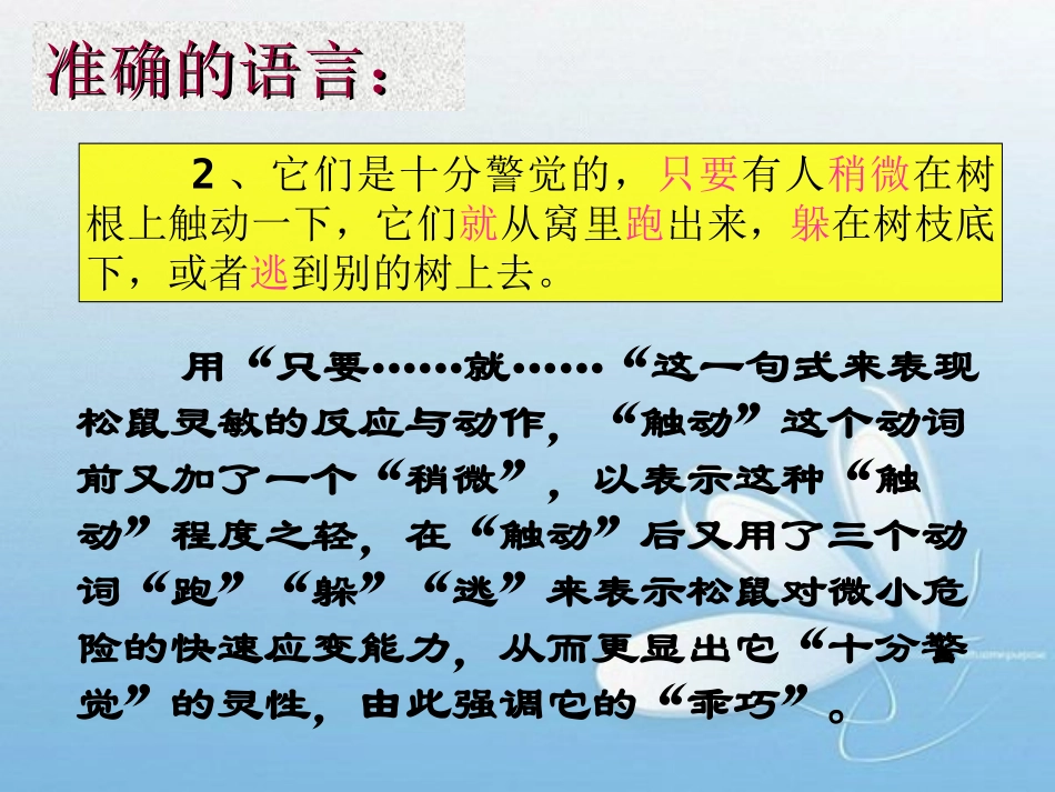 《-松鼠》准确的语言赏析_第2页