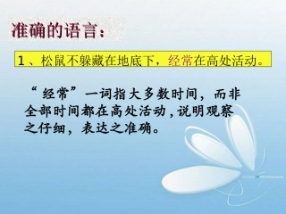 《-松鼠》准确的语言赏析