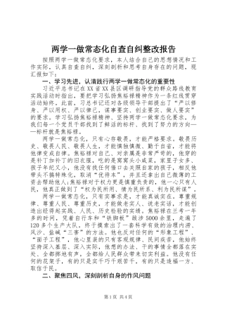 两学一做常态化自查自纠整改报告