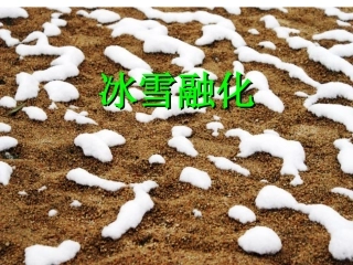 春天举行音乐会ppt(人音版三年级下册)PPT课件