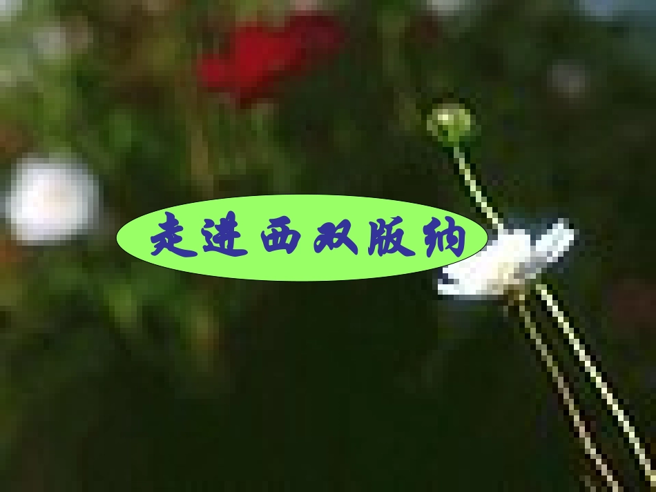 美丽的西双版纳_第1页